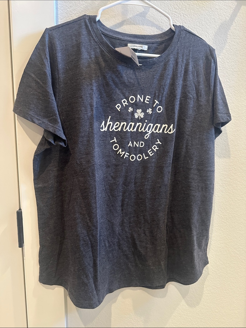Prone to Shenanigans and Tomfoolery Short Sleeve Tee - Dark Heather